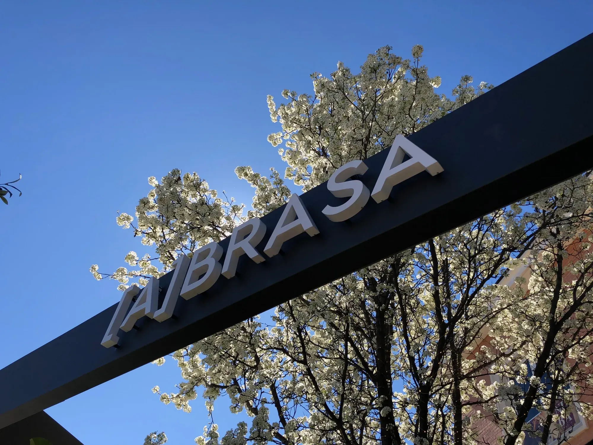 Corpóreas retroiluminadas de [A]BRASA sobre la viga de la terraza de La Finca, con el árbol en flor detrás